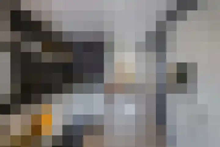 Hoofdweg 206 D Nijeholtpade thumbnail 12
