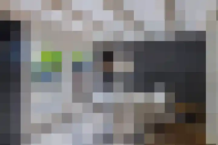 Hoofdweg 206 D Nijeholtpade thumbnail 16