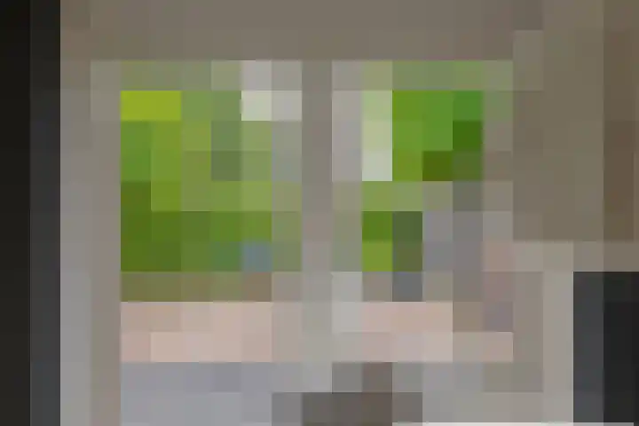 Hoofdweg 206 D Nijeholtpade thumbnail 17
