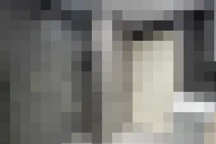 Hoofdweg 206 D Nijeholtpade thumbnail 26