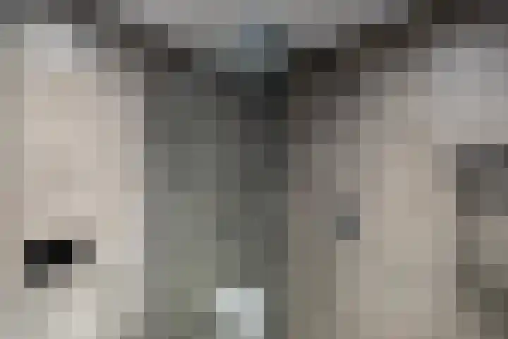 Hoofdweg 206 D Nijeholtpade thumbnail 27