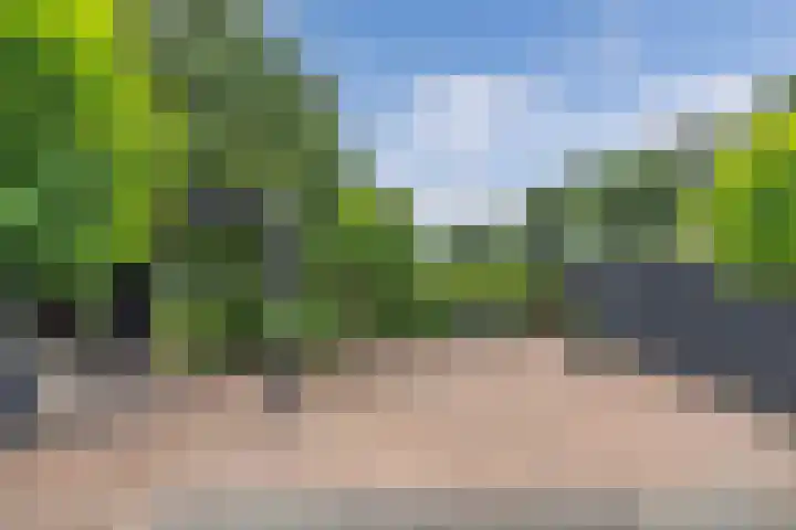 Hoofdweg 206 D Nijeholtpade thumbnail 34
