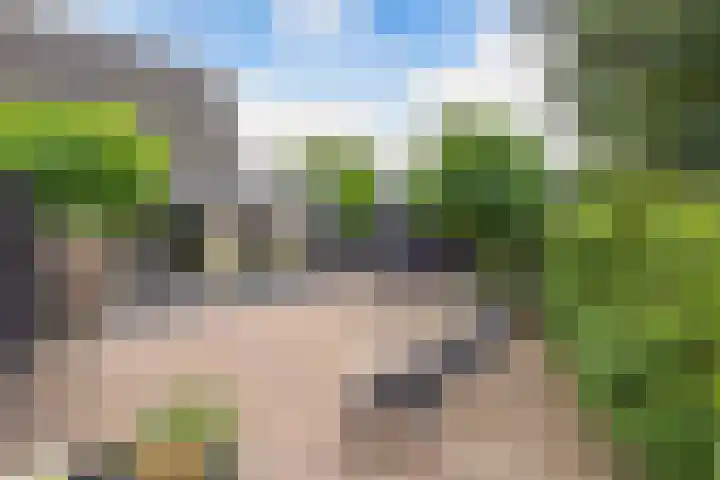 Hoofdweg 206 D Nijeholtpade thumbnail 37