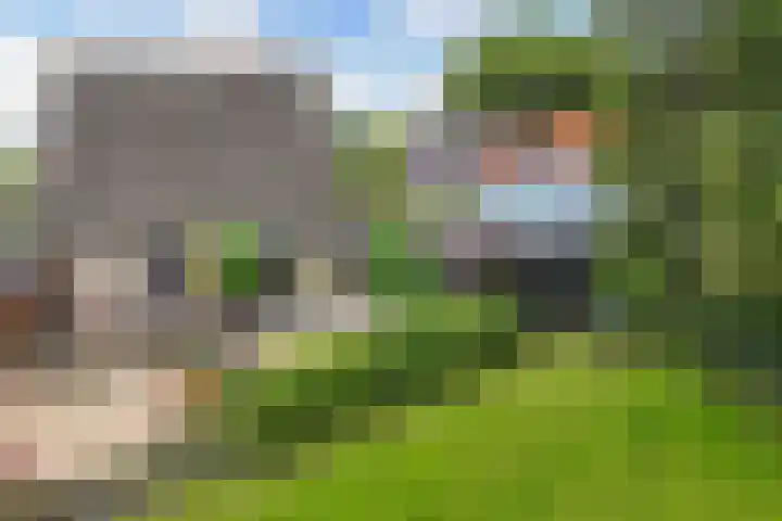 Hoofdweg 206 D Nijeholtpade thumbnail 38