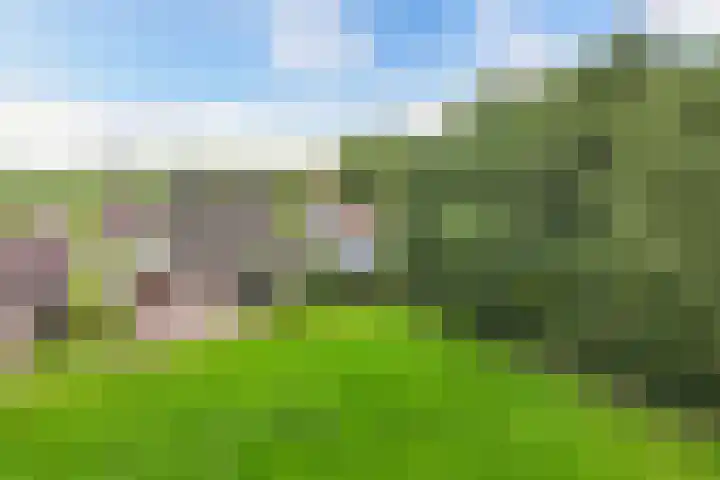 Hoofdweg 206 D Nijeholtpade thumbnail 4
