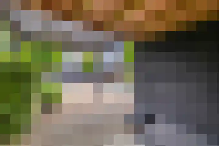 Hoofdweg 206 D Nijeholtpade thumbnail 43
