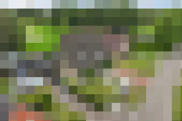Hoofdweg 206 D Nijeholtpade thumbnail 44