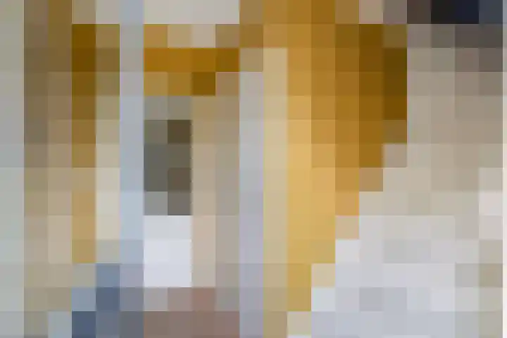 Hoofdweg 206 D Nijeholtpade thumbnail 5