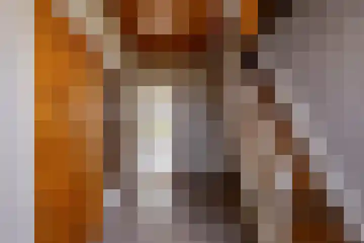 Hoofdweg 206 Taarlo thumbnail 10