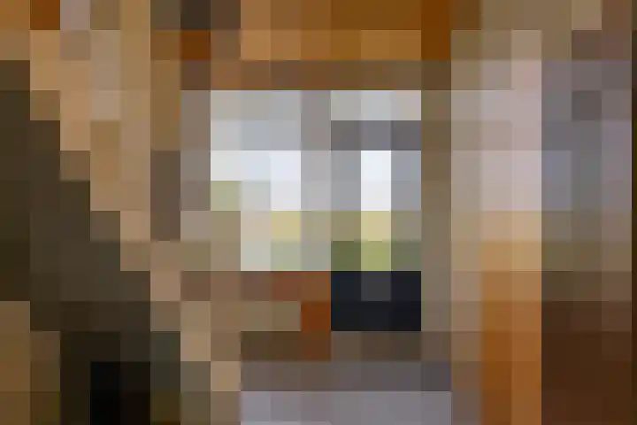 Hoofdweg 206 Taarlo thumbnail 11