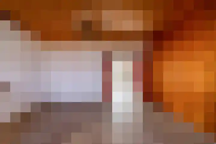 Hoofdweg 206 Taarlo thumbnail 16