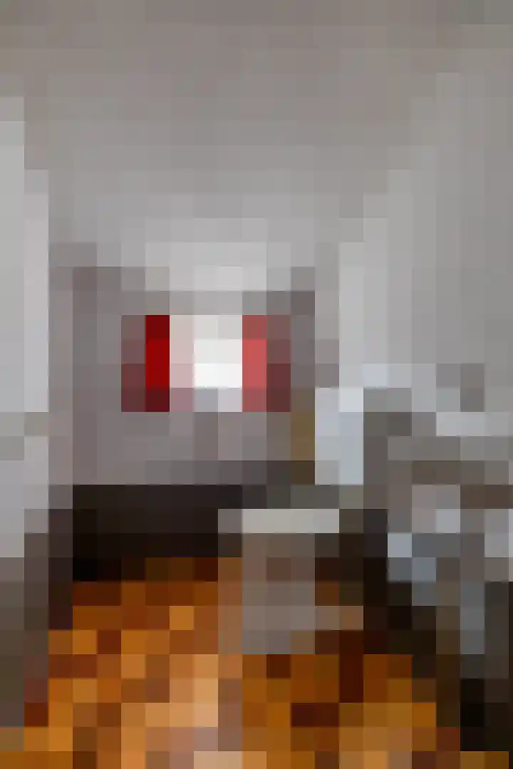 Hoofdweg 206 Taarlo thumbnail 25