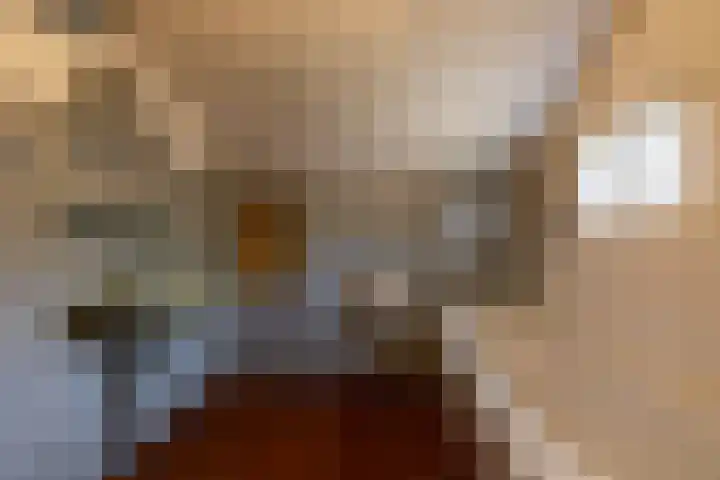 Hoofdweg 206 Taarlo thumbnail 26