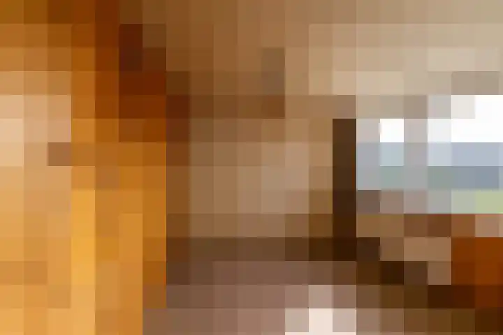 Hoofdweg 206 Taarlo thumbnail 35