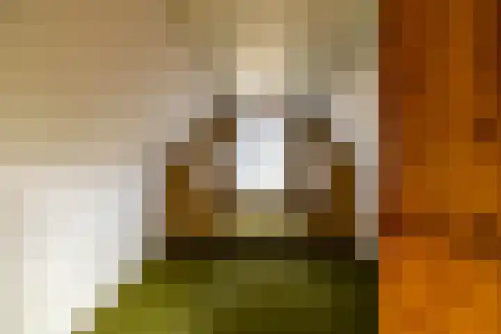 Hoofdweg 206 Taarlo thumbnail 38