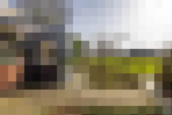 Hoofdweg 206 Taarlo thumbnail 42