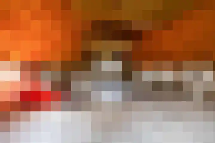 Hoofdweg 206 Taarlo thumbnail 43
