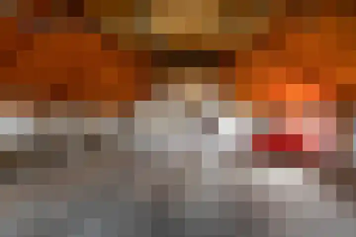 Hoofdweg 206 Taarlo thumbnail 45