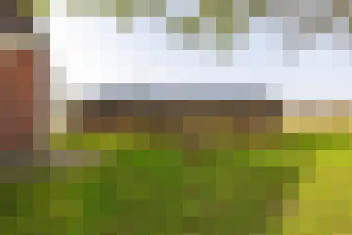 Hoofdweg 206 Taarlo thumbnail 48