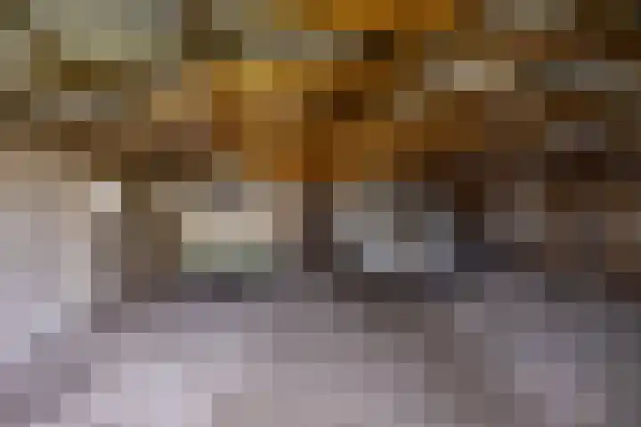 Hoofdweg 206 Taarlo thumbnail 49