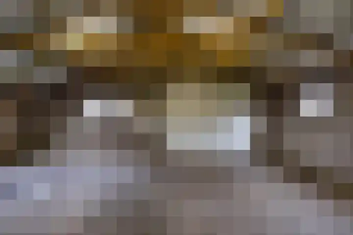 Hoofdweg 206 Taarlo thumbnail 50