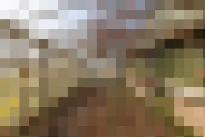 Hoofdweg 206 Taarlo thumbnail 51