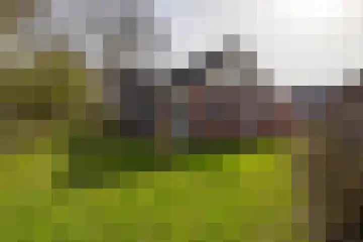 Hoofdweg 206 Taarlo thumbnail 52