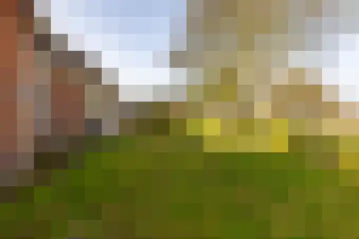 Hoofdweg 206 Taarlo thumbnail 53