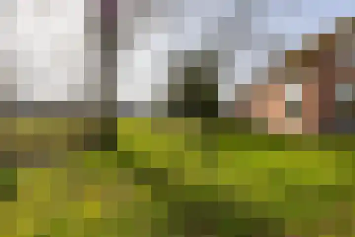 Hoofdweg 206 Taarlo thumbnail 54