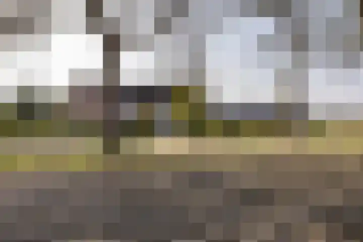 Hoofdweg 206 Taarlo thumbnail 56