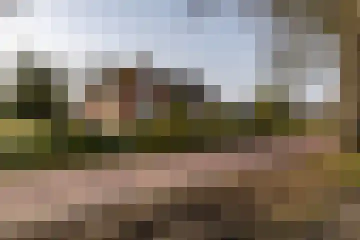 Hoofdweg 206 Taarlo thumbnail 57