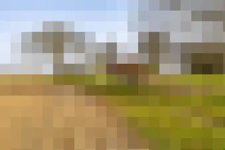 Hoofdweg 206 Taarlo thumbnail 58