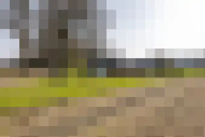Hoofdweg 206 Taarlo thumbnail 59