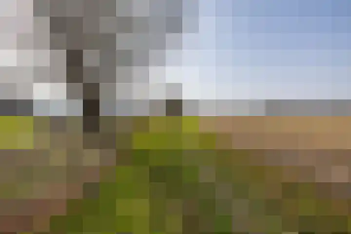 Hoofdweg 206 Taarlo thumbnail 60