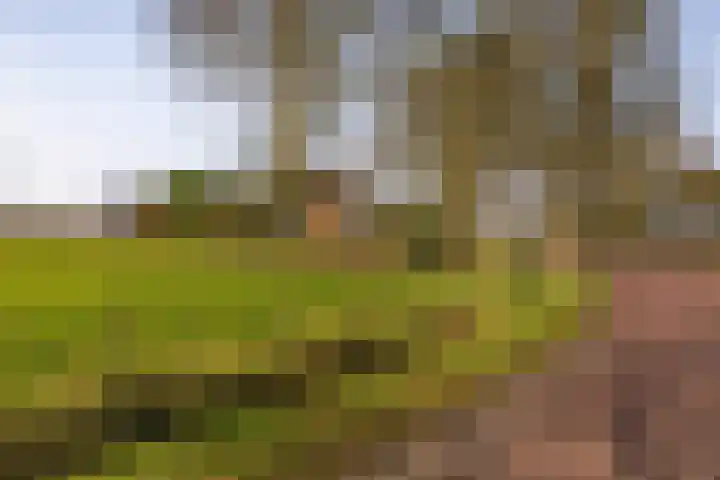 Hoofdweg 206 Taarlo thumbnail 61