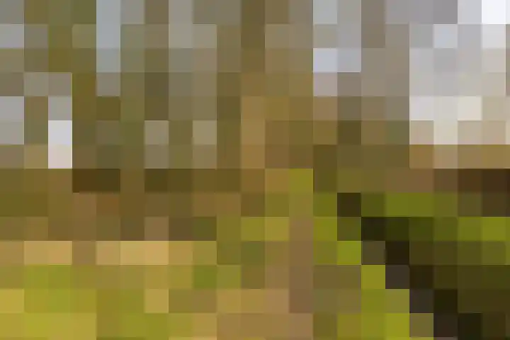 Hoofdweg 206 Taarlo thumbnail 63