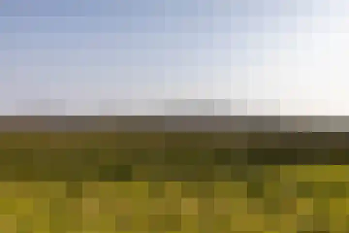 Hoofdweg 206 Taarlo thumbnail 64