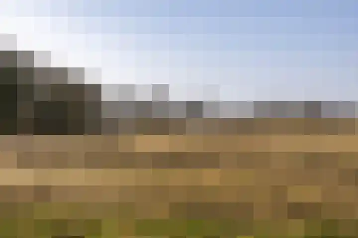 Hoofdweg 206 Taarlo thumbnail 65