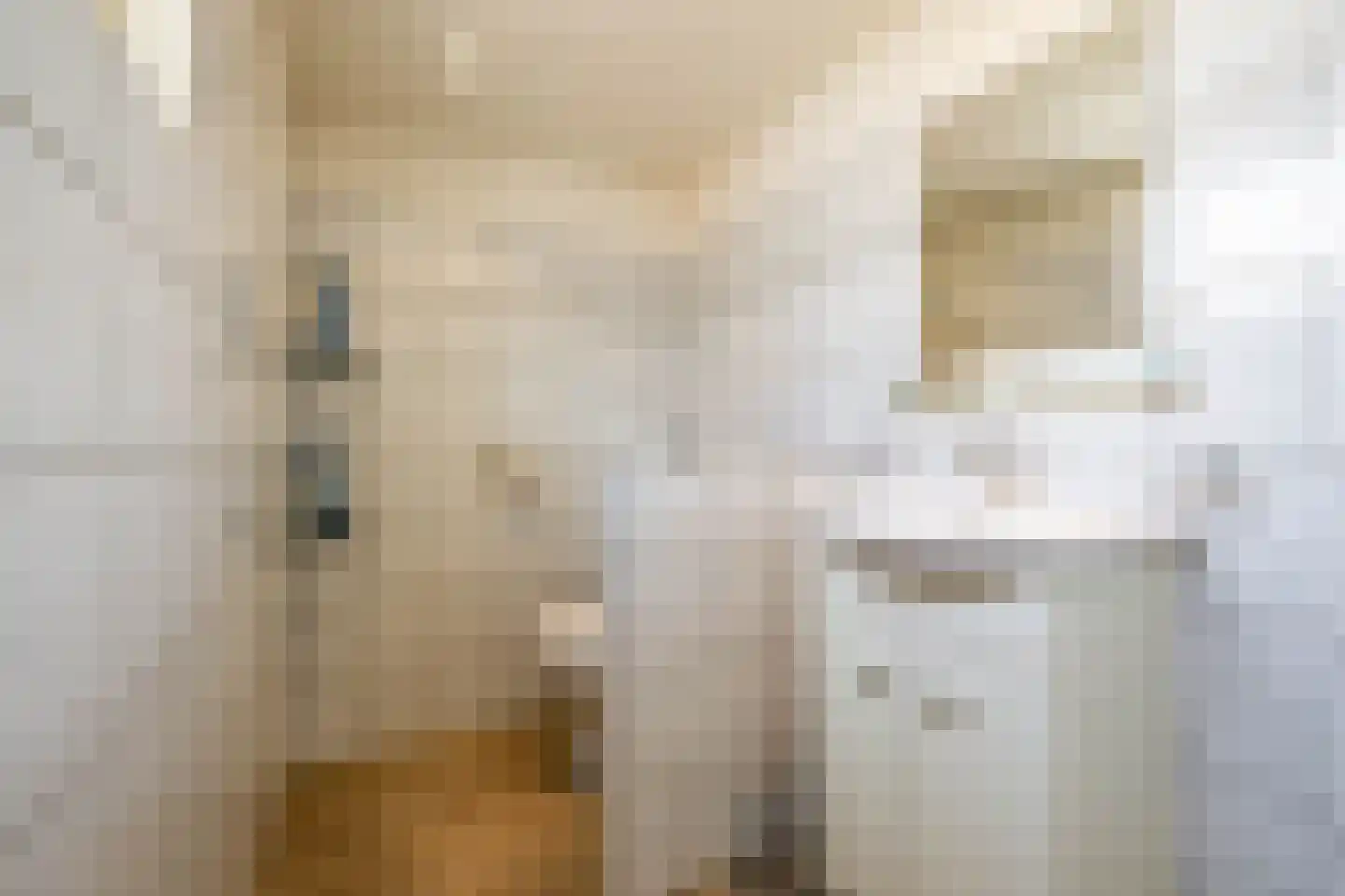 Hoofdweg 207 Paterswolde thumbnail 31