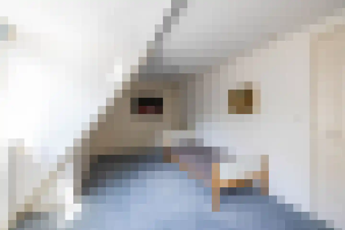 Hoofdweg 207 Paterswolde thumbnail 37