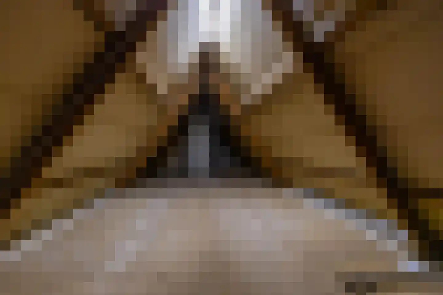 Hoofdweg 207 Paterswolde thumbnail 47