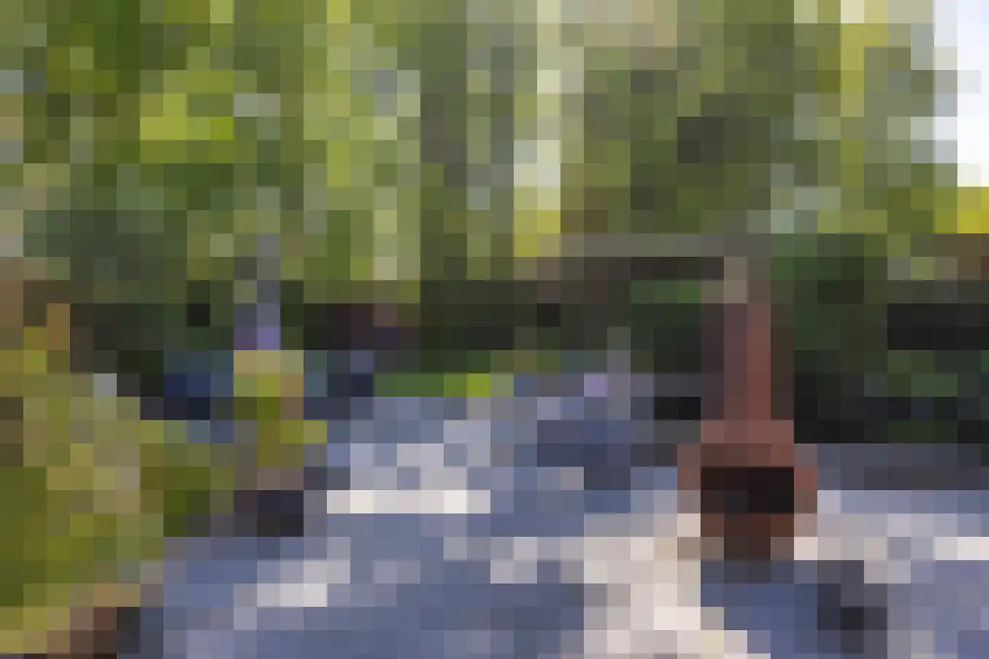 Hoofdweg 207 Paterswolde thumbnail 62