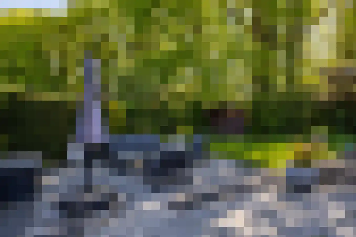 Hoofdweg 207 Paterswolde thumbnail 63
