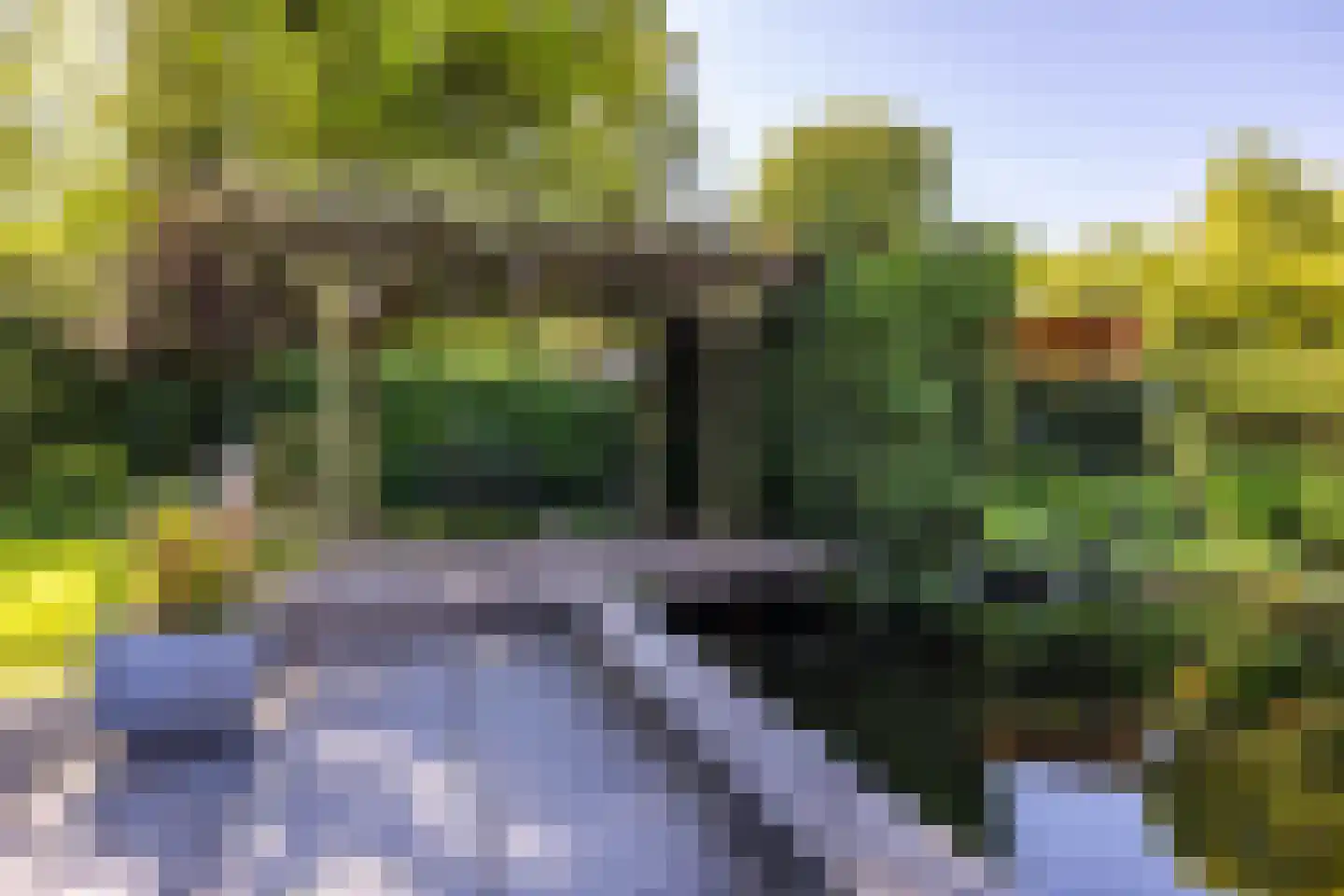 Hoofdweg 207 Paterswolde thumbnail 64