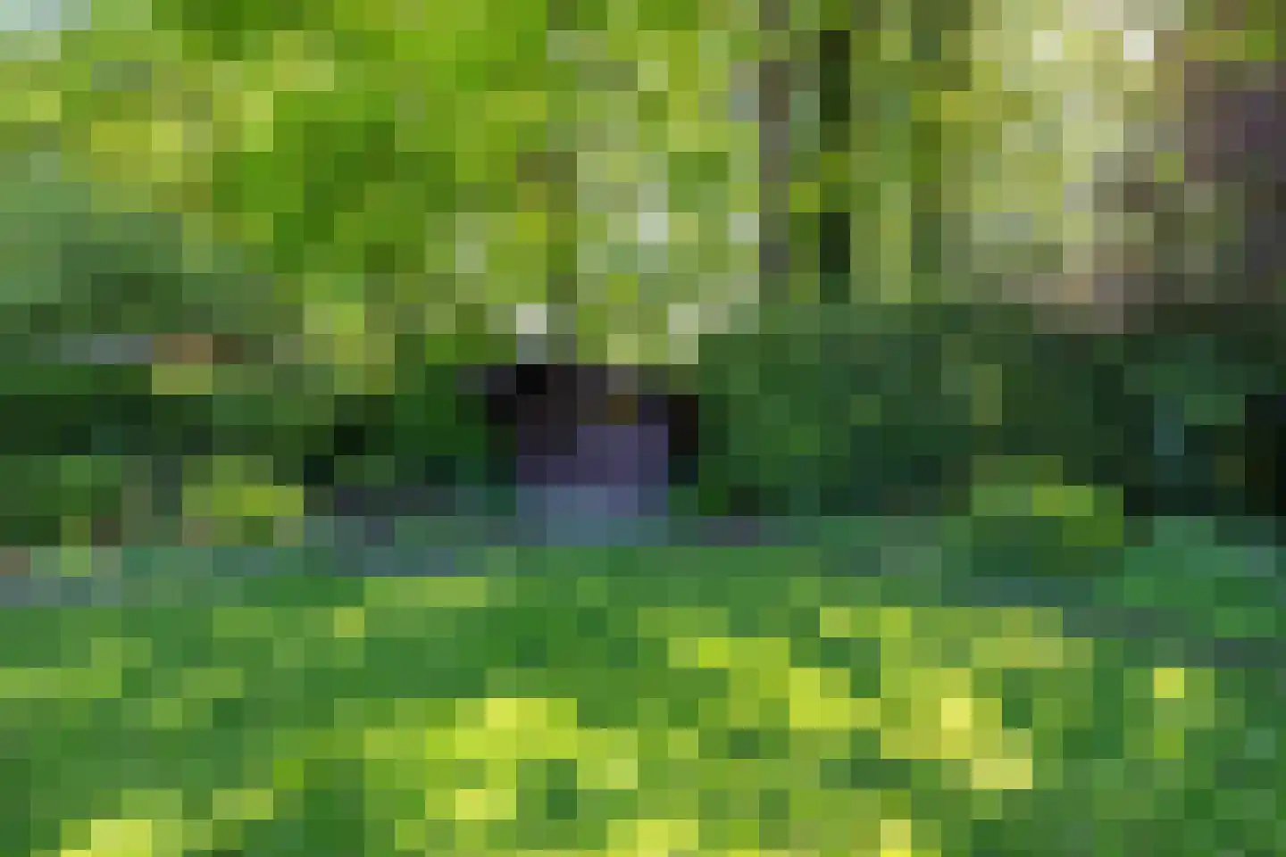 Hoofdweg 207 Paterswolde thumbnail 65