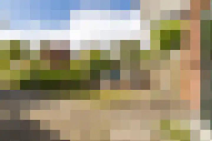 Hoofdweg 207 Schildwolde thumbnail 14