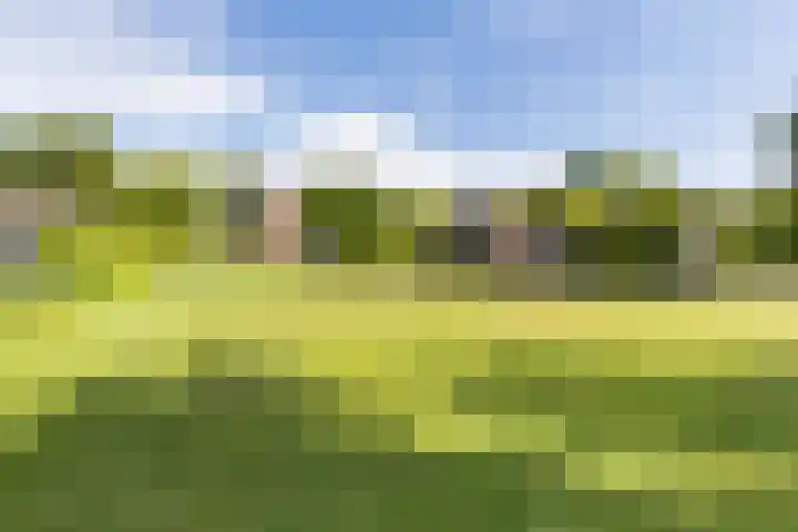Hoofdweg 207 Schildwolde thumbnail 18