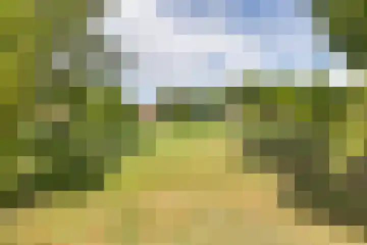 Hoofdweg 207 Schildwolde thumbnail 19