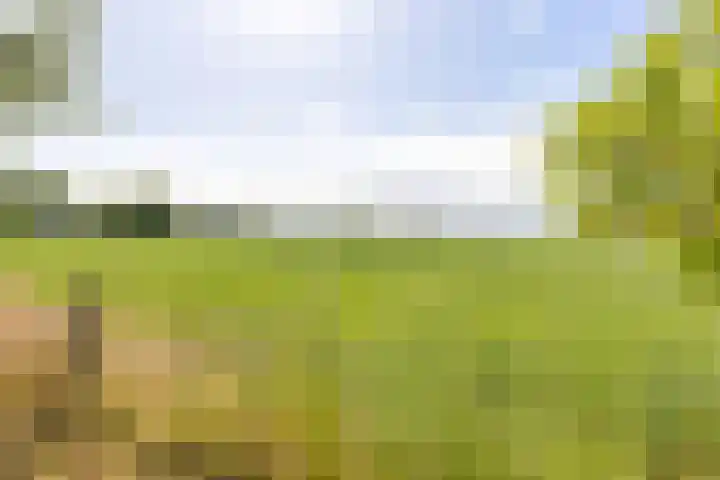 Hoofdweg 207 Schildwolde thumbnail 20