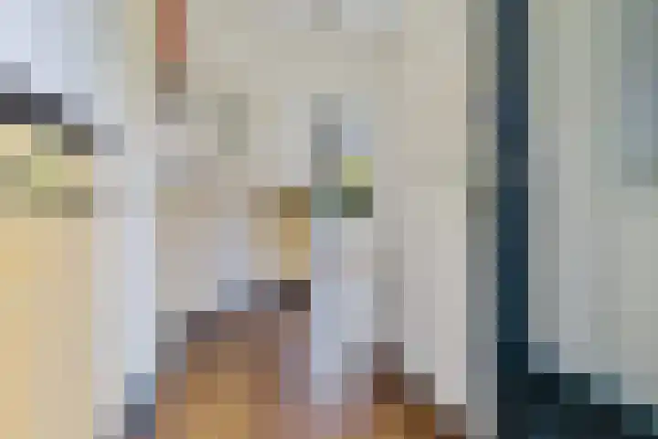 Hoofdweg 207 Schildwolde thumbnail 25